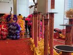 27022026_Lion Dance at APM00037