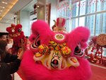 27022026_Lion Dance at APM00041
