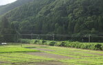 03082026_Canon EOS 5Ds_5th round to Tohoku_Fukushima_Inawashiroko00031