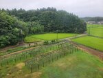 03082026_Samsung Smartphone Note 20 Ultra_5th round to Tohoku_Narita International Garden Hotel00008