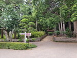 03082026_Samsung Smartphone Note 20 Ultra_5th round to Tohoku_Ibarakikan_Kairakuen00057