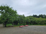 03082026_Samsung Smartphone Note 20 Ultra_5th round to Tohoku_Ibarakikan_Kairakuen00058