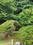 03082026_Samsung Smartphone Note 20 Ultra_5th round to Tohoku_Ibarakikan_Kairakuen00064