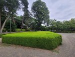03082026_Samsung Smartphone Note 20 Ultra_5th round to Tohoku_Ibarakikan_Kairakuen00067
