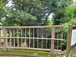 03082026_Samsung Smartphone Note 20 Ultra_5th round to Tohoku_Ibarakikan_Kairakuen00068