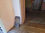 03082026_Samsung Smartphone Note 20 Ultra_5th round to Tohoku_Ibarakikan_Kairakuen_Kobuntei00104