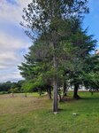 03082026_Samsung Smartphone Note 20 Ultra_5th round to Tohoku_Inawashiroko_Fukushimaken00031