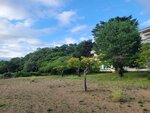 03082026_Samsung Smartphone Note 20 Ultra_5th round to Tohoku_Inawashiroko_Fukushimaken00036