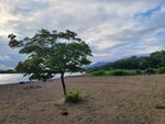 03082026_Samsung Smartphone Note 20 Ultra_5th round to Tohoku_Inawashiroko_Fukushimaken00038