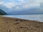 03082026_Samsung Smartphone Note 20 Ultra_5th round to Tohoku_Inawashiroko_Fukushimaken00046