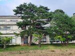 03082026_Samsung Smartphone Note 20 Ultra_5th round to Tohoku_Inawashiroko_Fukushimaken00049