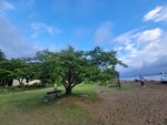 03082026_Samsung Smartphone Note 20 Ultra_5th round to Tohoku_Inawashiroko_Fukushimaken00056