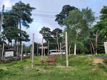 03082026_Samsung Smartphone Note 20 Ultra_5th round to Tohoku_Inawashiroko_Fukushimaken00061