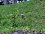 03082026_Samsung Smartphone Note 20 Ultra_5th round to Tohoku_Listel Onsen Hotel_Inawashiro_Fukushimaken00085