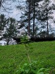 03082026_Samsung Smartphone Note 20 Ultra_5th round to Tohoku_Listel Onsen Hotel_Inawashiro_Fukushimaken00086