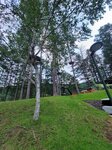 03082026_Samsung Smartphone Note 20 Ultra_5th round to Tohoku_Listel Onsen Hotel_Inawashiro_Fukushimaken00088