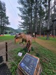 03082026_Samsung Smartphone Note 20 Ultra_5th round to Tohoku_Listel Onsen Hotel_Inawashiro_Fukushimaken00102