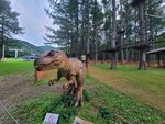 03082026_Samsung Smartphone Note 20 Ultra_5th round to Tohoku_Listel Onsen Hotel_Inawashiro_Fukushimaken00103
