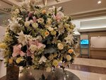 03082026_Samsung Smartphone Note 20 Ultra_5th round to Tohoku_Listel Onsen Hotel_Inawashiro_Fukushimaken00140