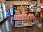 03082026_Samsung Smartphone Note 20 Ultra_5th round to Tohoku_Listel Onsen Hotel_Inawashiro_Fukushimaken00150