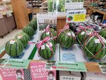 03082026_Samsung Smartphone Note 20 Ultra_5th round to Tohoku_Lunch at Hitachi no Sato_Mitoshi_Ibarakikan00170