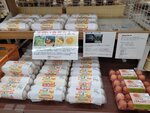 03082026_Samsung Smartphone Note 20 Ultra_5th round to Tohoku_Lunch at Hitachi no Sato_Mitoshi_Ibarakikan00173