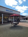 08082026_Samsung Smartphone Note 20 Ultra_5th round to Tohoku_Chibaken_Shisui Premium Outlet00005