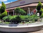 08082026_Samsung Smartphone Note 20 Ultra_5th round to Tohoku_Chibaken_Shisui Premium Outlet00017