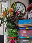 14022026_Chinese New Year Home Flowers00004