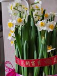 16022026_Chinese New Year Home Flowers00015