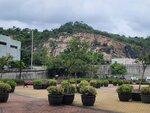 30082026_Heng Fa Chuen00017