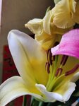 16022026_Chinese New Year Home Flowers00007