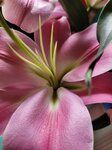 23022026_Chinese New Year Home Flowers00005