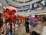 03032026_Lion Dance at Mongkok Moko00035
