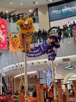 03032026_Lion Dance at Mongkok Moko00052