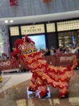 03032026_Lion Dance at Mongkok Moko00092