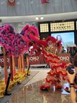 03032026_Lion Dance at Mongkok Moko00094