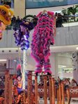 03032026_Lion Dance at Mongkok Moko00095
