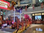03032026_Lion Dance at Mongkok Moko00097