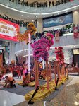 03032026_Lion Dance at Mongkok Moko00108