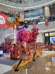 03032026_Lion Dance at Mongkok Moko00113