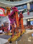 03032026_Lion Dance at Mongkok Moko00117