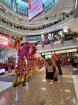 03032026_Lion Dance at Mongkok Moko00126