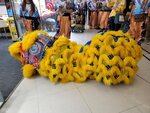 02032026_Lion Dance at Plaza Lok Fu00007