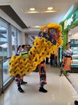 02032026_Lion Dance at Plaza Lok Fu00021
