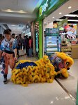 02032026_Lion Dance at Plaza Lok Fu00022