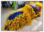 02032026_Lion Dance at Plaza Lok Fu00023