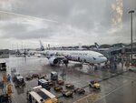 02082026_Samsung Smartphone Note 20 Ultra_4th round to Tohoku_Hong Kong International Airport00015