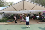 27032026_Hong Kong Flower Show_Hanami Row00012
