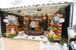 27032026_Hong Kong Flower Show_Hanami Row00047
